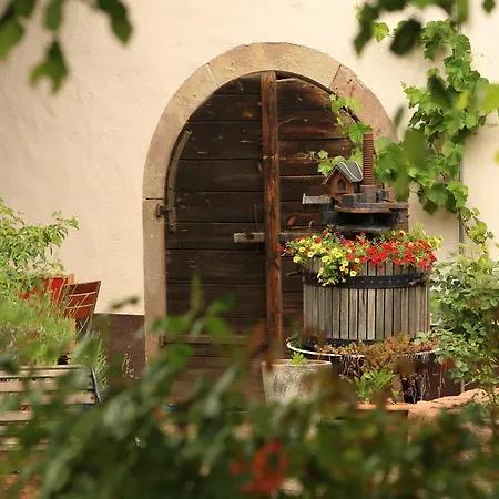 Hotel Landidyll Klostermuehle 3*